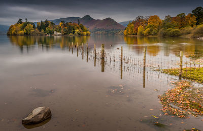 Scenic view of lake by trees against sky