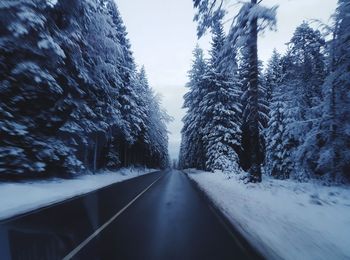 Road amidst snow covered trees against sky