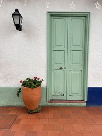 Potted plant against wall