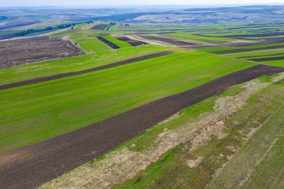 Scenic view of agricultural field