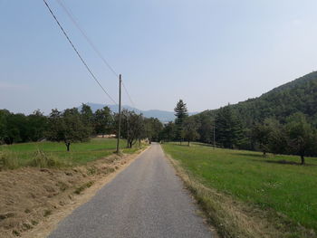 Road amidst plants and trees against sky