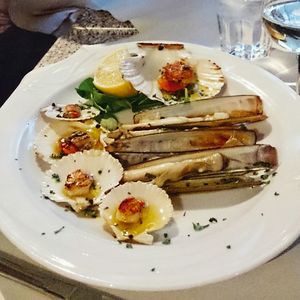 Close-up of served food