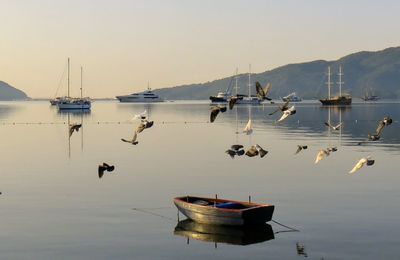 Boats moored in sea against sky
