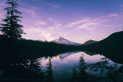 Scenic view of lake by trees against sky