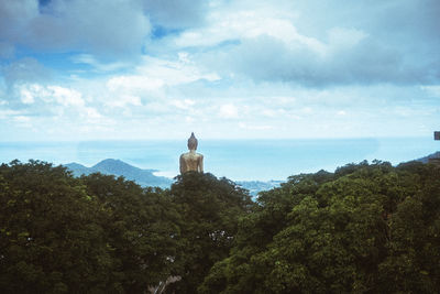 Statue on tree by sea against sky