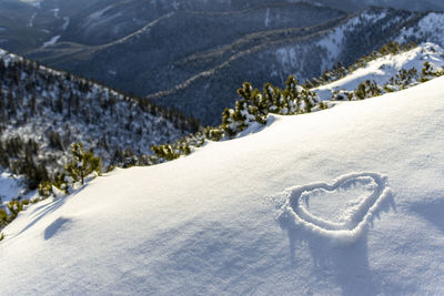 Heart shape on snow covered land