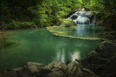 Scenic view of waterfall in forest