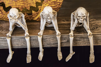 Close-up of human skull hanging on wood