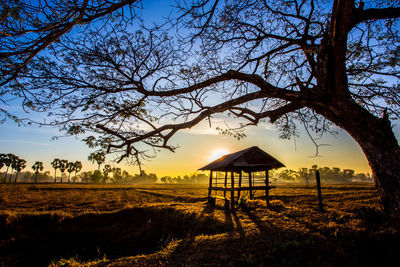 Silhouette tree on field against sky at sunset