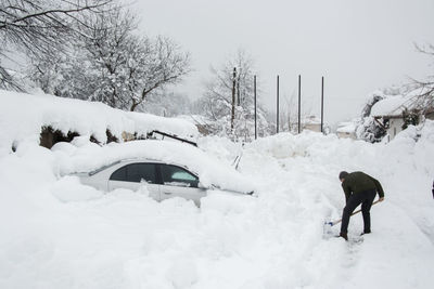 Dog on snow covered land