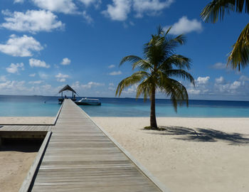 Palm trees on beach against sky