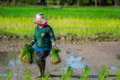 Full length of senior man working on rice field