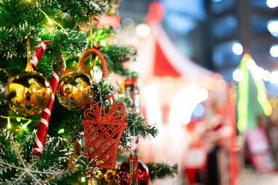 Close-up of christmas tree