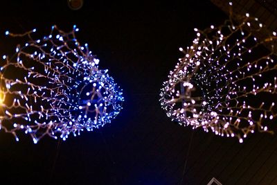 Firework display at night