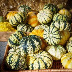 High angle view of pumpkins in market