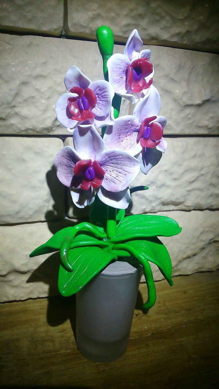 CLOSE-UP OF FLOWERS IN CONTAINER