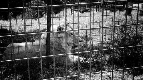 View of chainlink fence