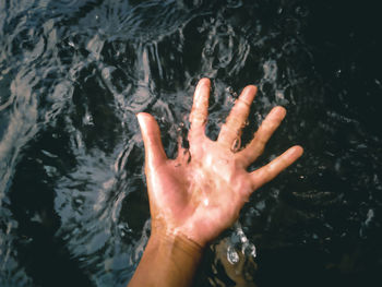 High angle view of hands in water