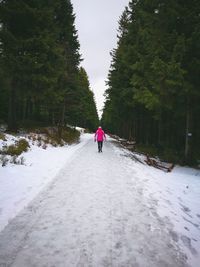 Rear view of person walking on snow covered landscape