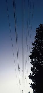 Low angle view of silhouette trees against sky at dusk