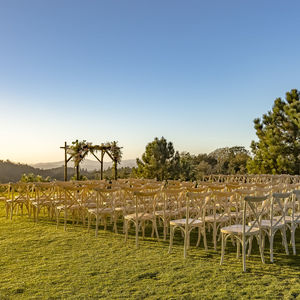 View of sheep on field against clear sky