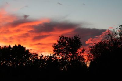 Low angle view of silhouette trees against dramatic sky