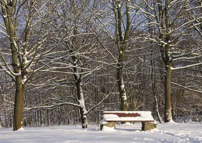 Snow covered bare trees against sky
