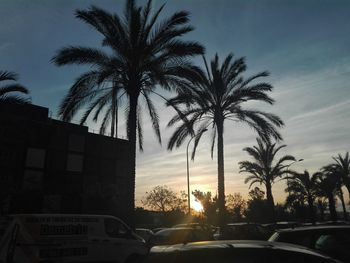 Silhouette palm trees against sky during sunset