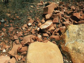 Stack of logs