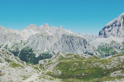 Low angle view of trees against clear blue sky