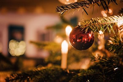 Close-up of illuminated christmas tree at night