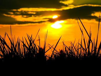 Scenic view of landscape against sky at sunset