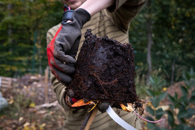 Rear view of woman standing in forest