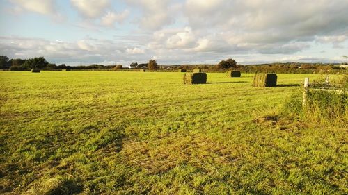 Scenic view of field against sky