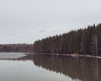 Scenic view of lake in forest against sky