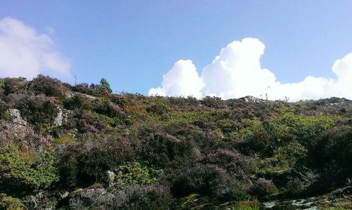 Scenic view of landscape against cloudy sky