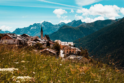 Plants and houses by mountains against sky