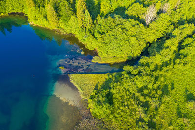 Aerial view of the crna rijeka in plitvice national park, croatia