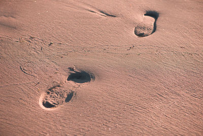 High angle view of shoe print at sandy beach during sunset