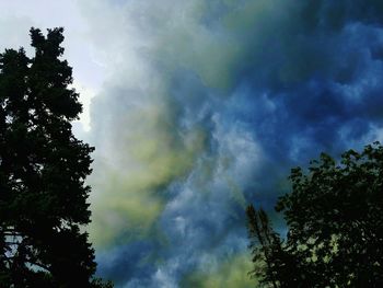 Low angle view of trees against sky