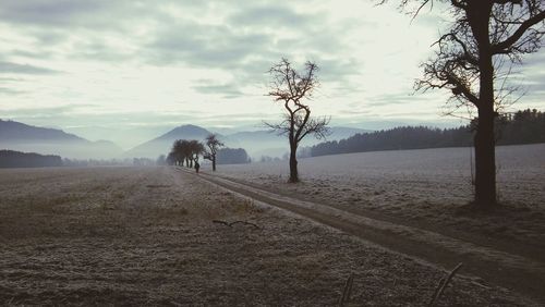 View of horse on road against cloudy sky