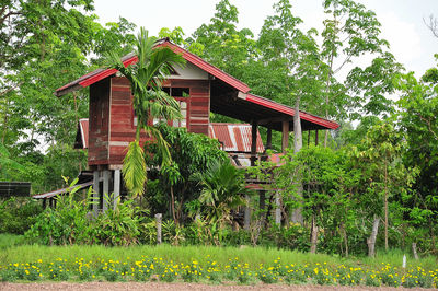 House on field by trees against sky