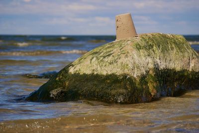 Close-up of rock by sea against sky