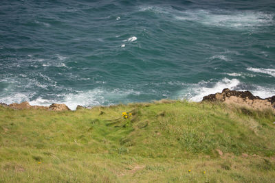 High angle view of sea shore