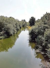 Reflection of trees in lake against sky