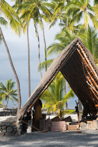 Palm trees by plants against sky
