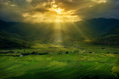 Scenic view of agricultural field against sky at sunset