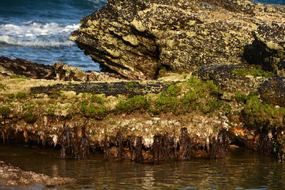 Rocks in sea