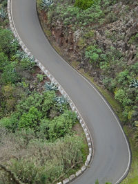 High angle view of railroad tracks by road amidst trees