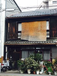 Potted plants on window of building